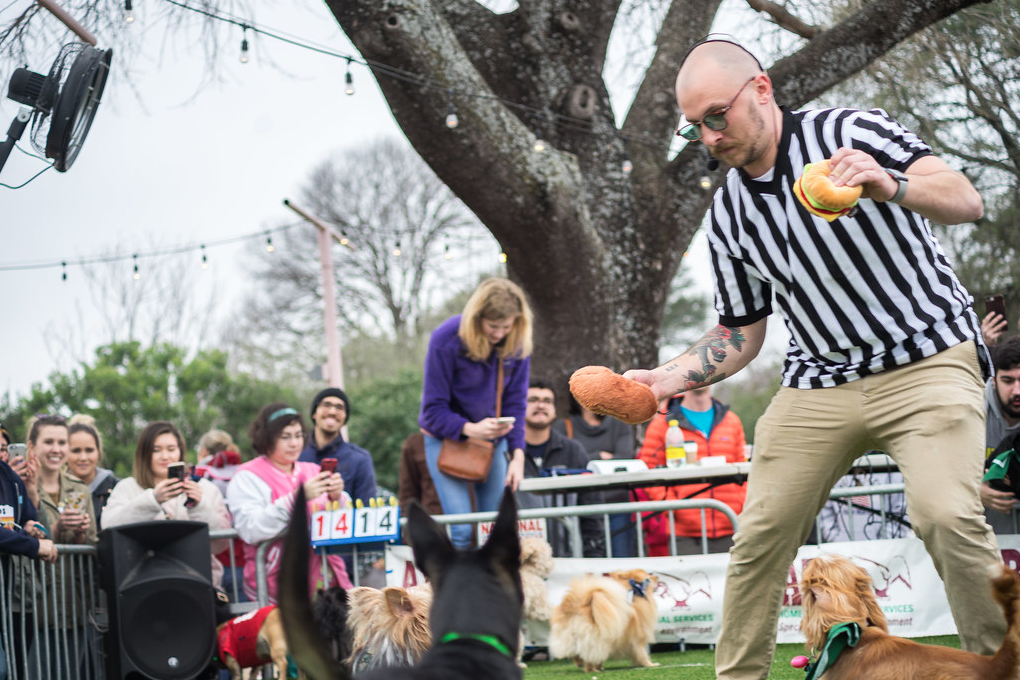 The Yard Bar Puppy Bowl