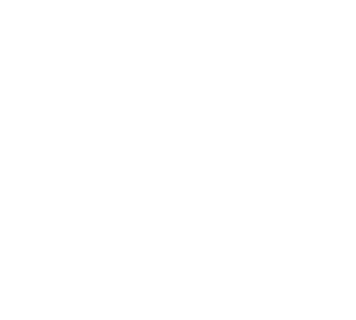 Air Carriage Over Texas